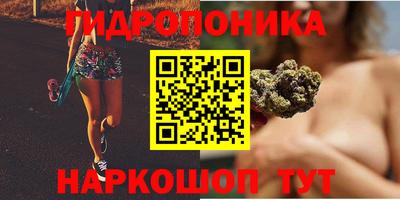 хмурый Гатчина