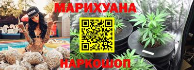 хмурый Гатчина