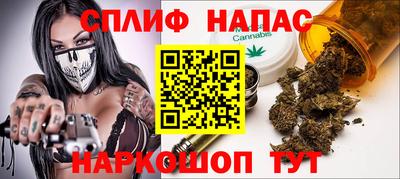 хмурый Гатчина